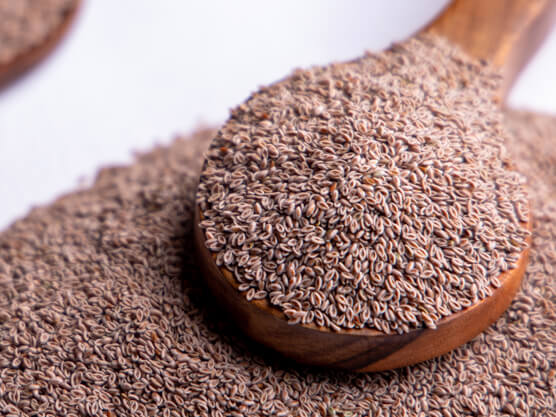 Psyllium Husk 1
